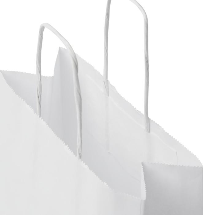 Branded Paper Bag With Twisted Handles