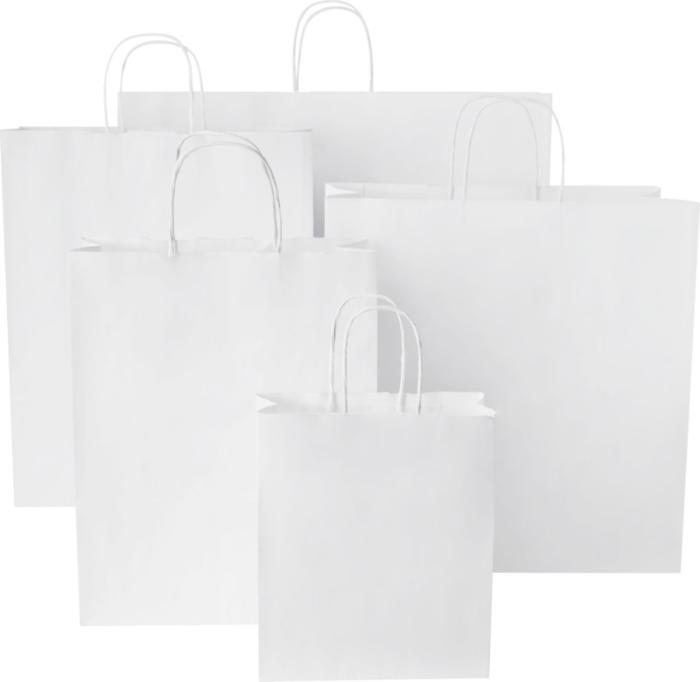 Branded Paper Bag With Twisted Handles