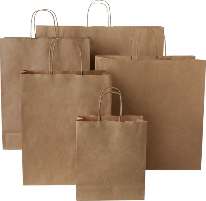 Branded Paper Bag With Twisted Handles