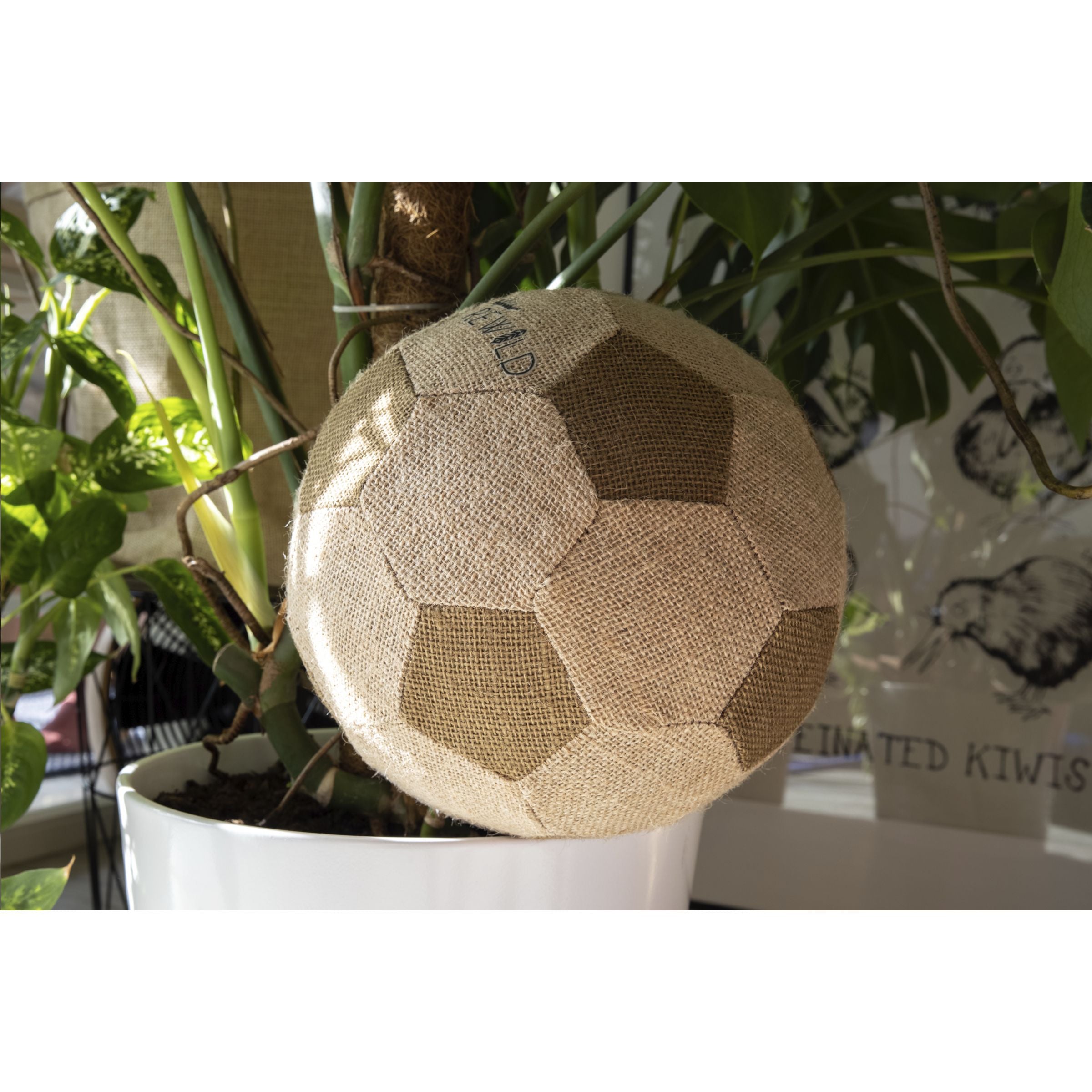 Sustainable Eco Friendly Printed Football 22cm