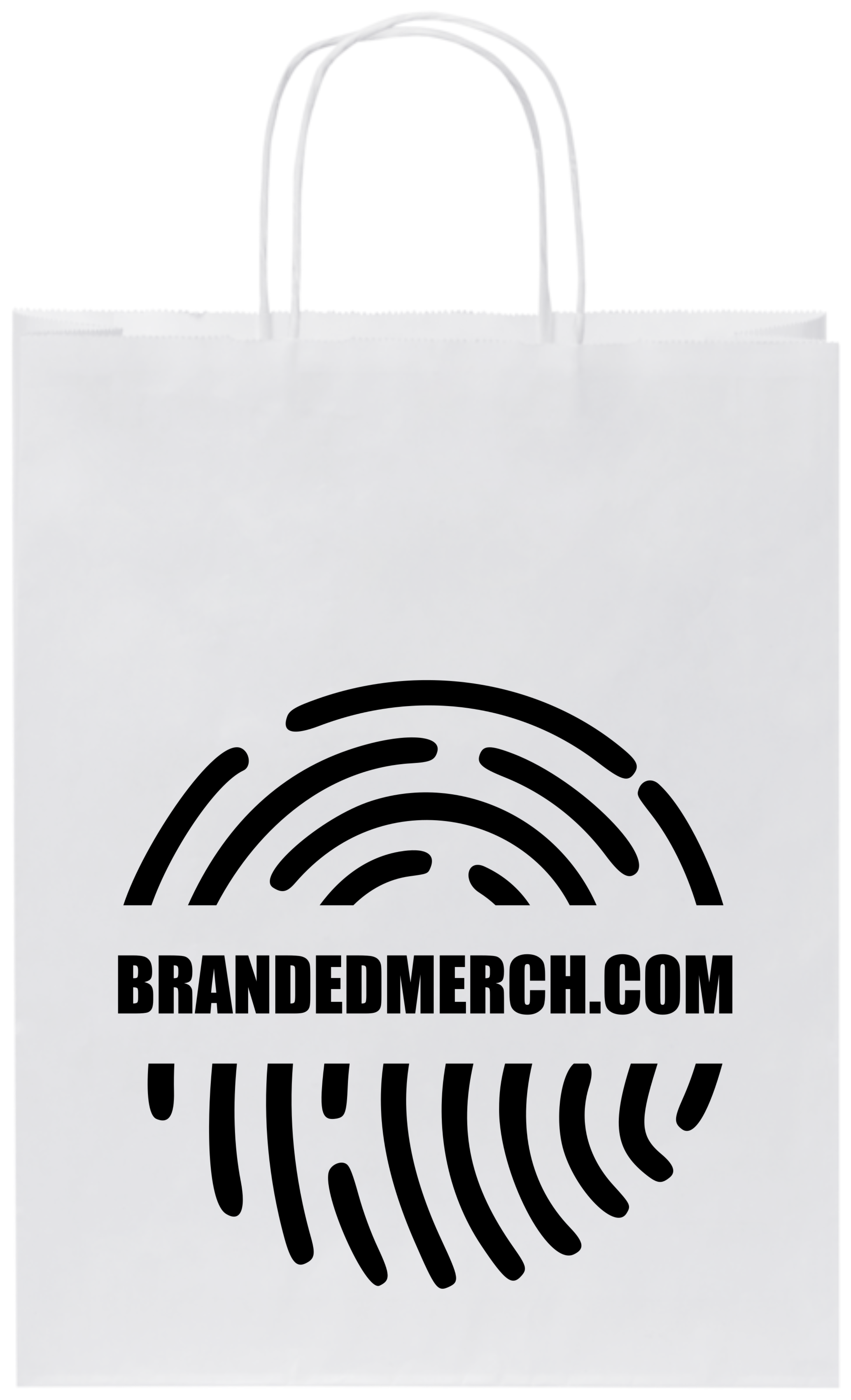 Branded Paper Bag With Twisted Handles