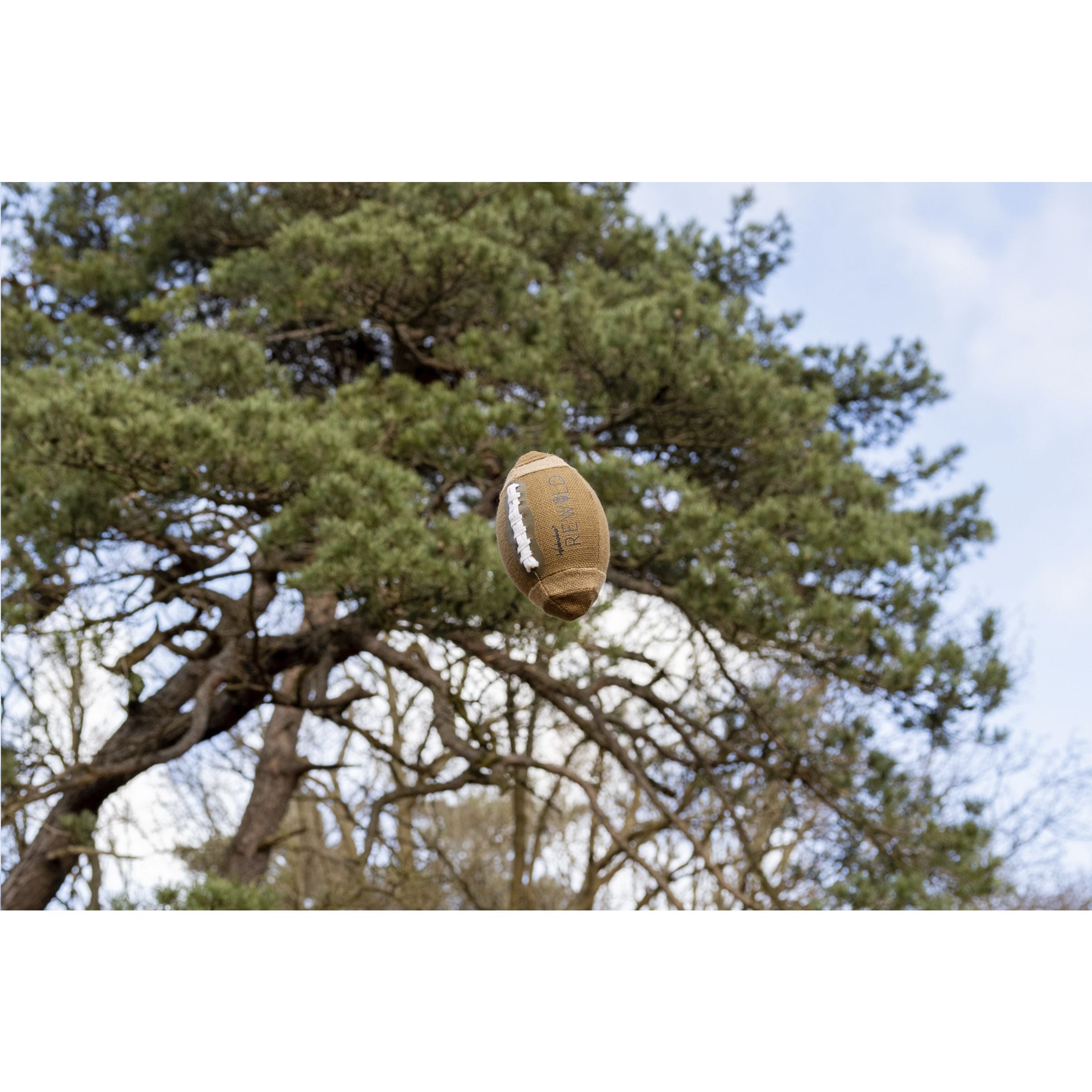 Sustainable Branded American Football 15cm