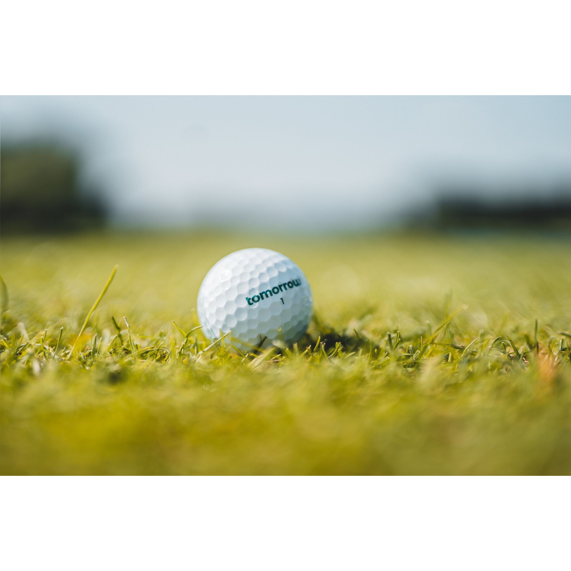 Recycled Branded Golf Ball White