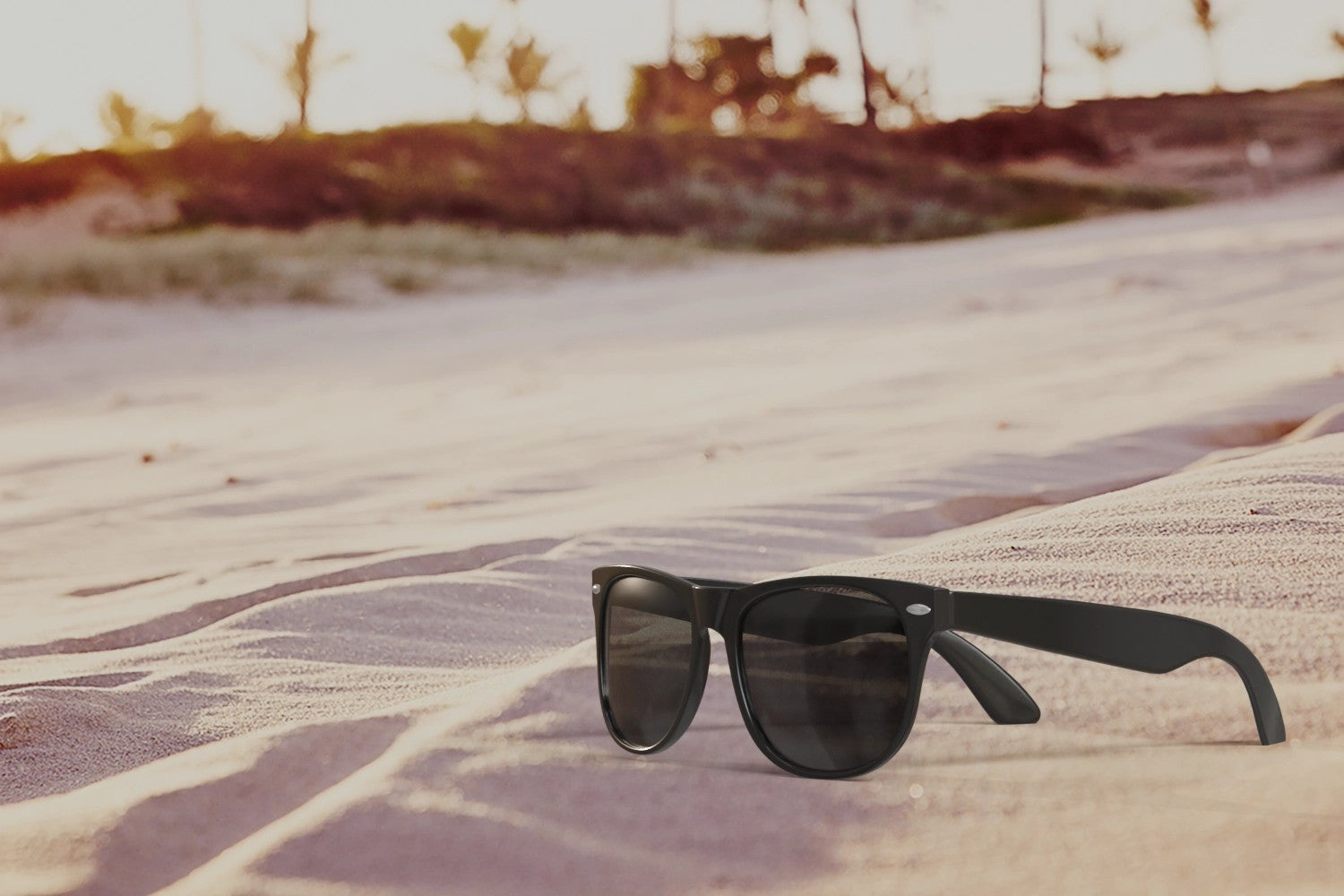 Branded Sunglasses